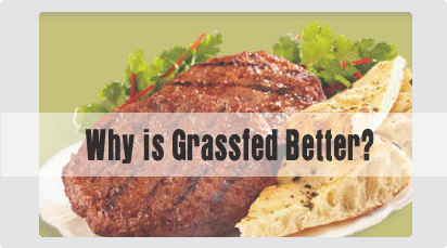 Why is Grassfed Better?